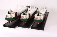 customized model of 193m General Cargo Vessel